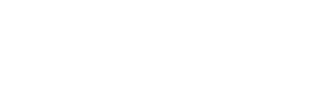 Logo in Footer